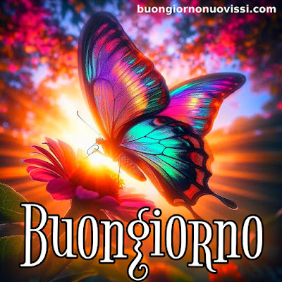 stupende nuovissimo buongiorno immagini recenti