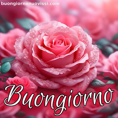 stupende nuovissimo buongiorno immagini recenti