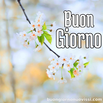 stupende nuovissimo buongiorno immagini recenti