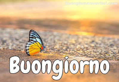 stupende nuovissimo buongiorno immagini recenti