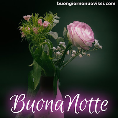 toghigi paper nuovissimo buonanotte immagini recenti toghigi paper nuovissimo buonanotte immagini recenti