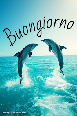 Whatsapp Buongiorno Nuovissimi