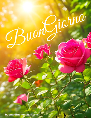 Whatsapp Buongiorno Nuovissimi