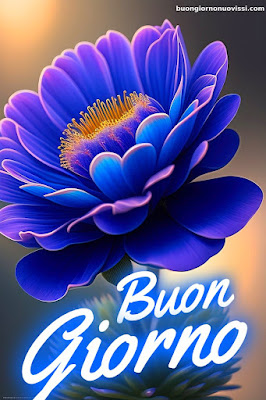 Whatsapp Buongiorno Nuovissimi