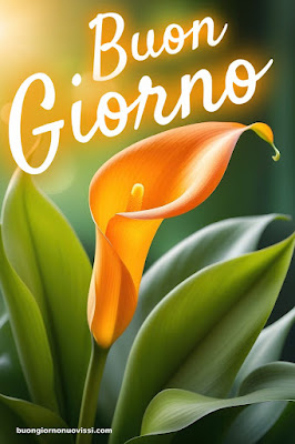 Whatsapp Buongiorno Nuovissimi