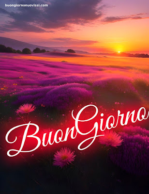 Whatsapp Buongiorno Nuovissimi