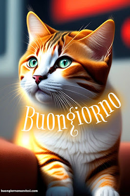 Whatsapp Buongiorno Nuovissimi