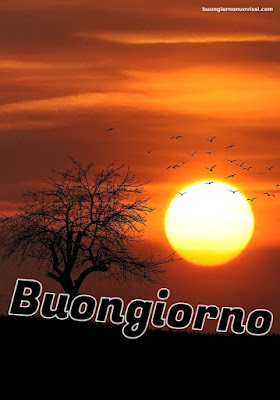 Whatsapp Buongiorno Nuovissimi