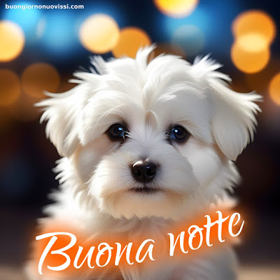 Buonanotte Bellissimi Buonanotte Bellissimi