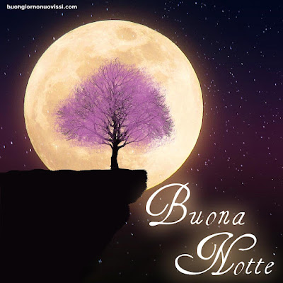 Buonanotte Bellissimi Buonanotte Bellissimi