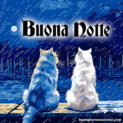Buonanotte Bellissimi Buonanotte Bellissimi