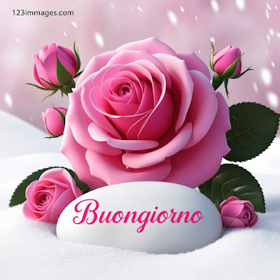 1600+ Whatsapp Bellissime Buongiorno Immagini Nuove 2025