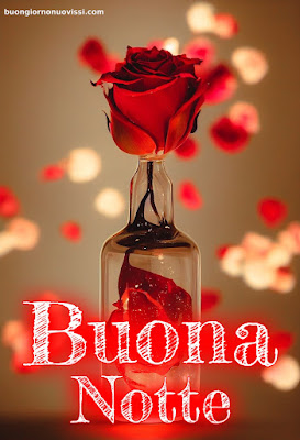Buona Notte Immagini Nuove