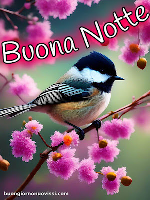 buona serata e buona notte immagini nuove buona serata e buona notte immagini nuove
