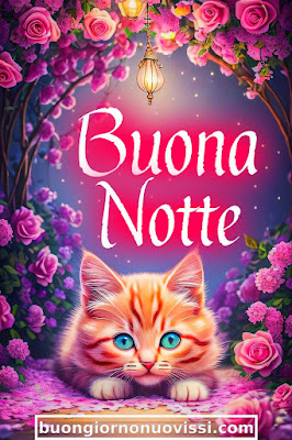 dolce buonanotte immagini recenti