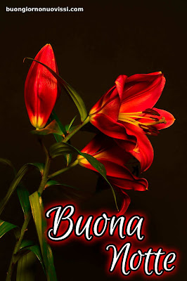 nuovissimo buonanotte immagini recenti gratis per whatsapp nuovissimo buonanotte immagini recenti gratis per whatsapp