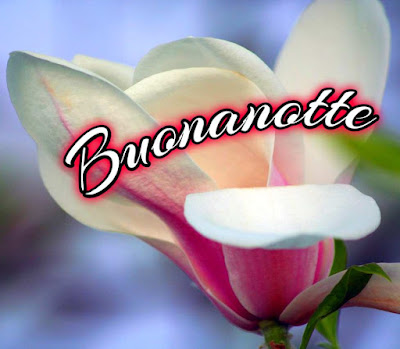 nuovissimo buonanotte immagini recenti gratis per whatsapp nuovissimo buonanotte immagini recenti gratis per whatsapp