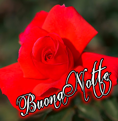 nuovissimo buonanotte immagini recenti gratis per whatsapp nuovissimo buonanotte immagini recenti gratis per whatsapp