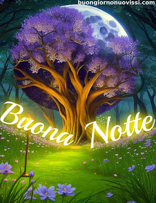 nuovissimi buonanotte la pietra bianca