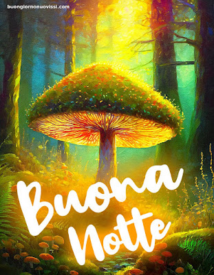 Buonanotte Immagini Nuove 2024