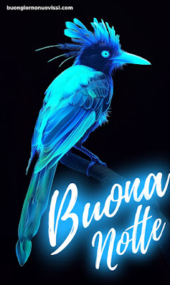buonanotte originalissima gif whatsapp