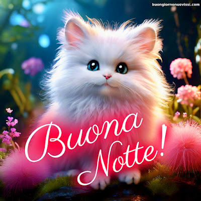 buonanotte originalissima gif whatsapp