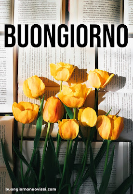 buongiorno nuovissimi