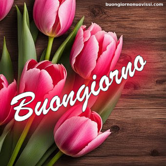 buongiorno nuovissimi