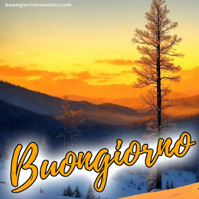 buongiorno nuovissimi
