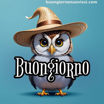 buongiorno nuovissimi