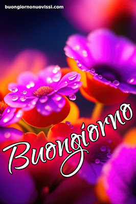 buongiorno nuovissimi