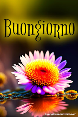 buongiorno nuovissimi