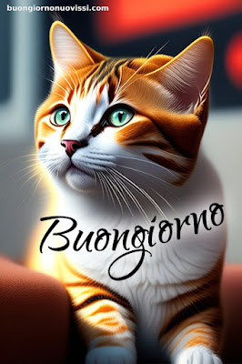 buongiorno nuovissimi