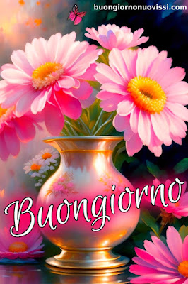 buongiorno nuovissimi