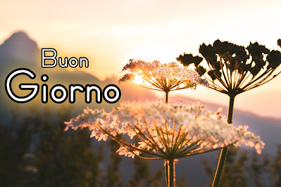 le ali del sorriso buongiorno immagini nuove gratis whatsapp le ali del sorriso buongiorno immagini nuove gratis whatsapp