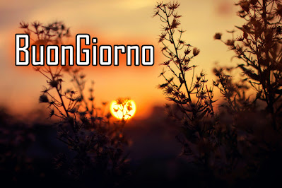 le ali del sorriso buongiorno immagini nuove gratis whatsapp le ali del sorriso buongiorno immagini nuove gratis whatsapp