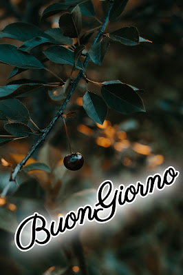 le ali del sorriso buongiorno immagini nuove gratis whatsapp le ali del sorriso buongiorno immagini nuove gratis whatsapp