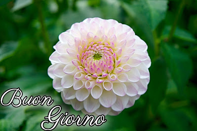 le ali del sorriso buongiorno immagini nuove gratis whatsapp le ali del sorriso buongiorno immagini nuove gratis whatsapp