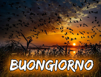 le ali del sorriso buongiorno immagini nuove gratis whatsapp
