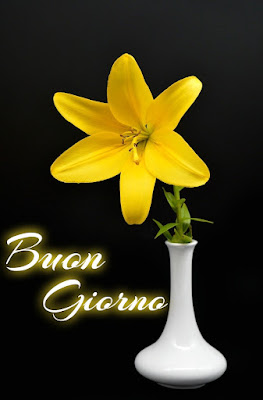le ali del sorriso buongiorno immagini nuove gratis whatsapp