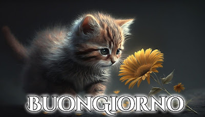 le ali del sorriso buongiorno immagini nuove gratis whatsapp