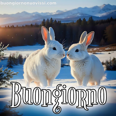 mozzafiato significativo nuovissimo buongiorno immagini recenti