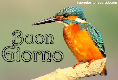 mozzafiato significativo nuovissimo buongiorno immagini recenti