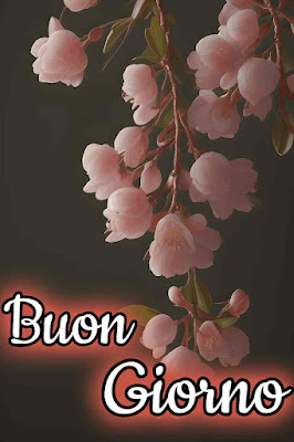 mozzafiato significativo nuovissimo buongiorno immagini recenti