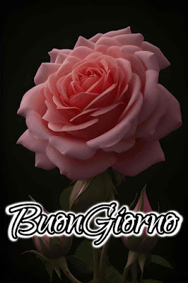 mozzafiato significativo nuovissimo buongiorno immagini recenti