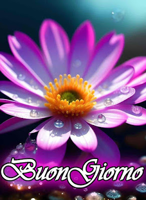 mozzafiato significativo nuovissimo buongiorno immagini recenti