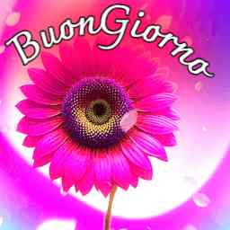 mozzafiato significativo nuovissimo buongiorno immagini recenti