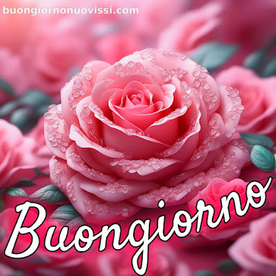 mozzafiato significativo nuovissimo buongiorno immagini recenti