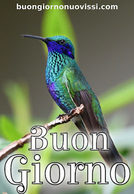 mozzafiato significativo nuovissimo buongiorno immagini recenti