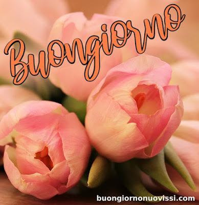 mozzafiato significativo nuovissimo buongiorno immagini recenti